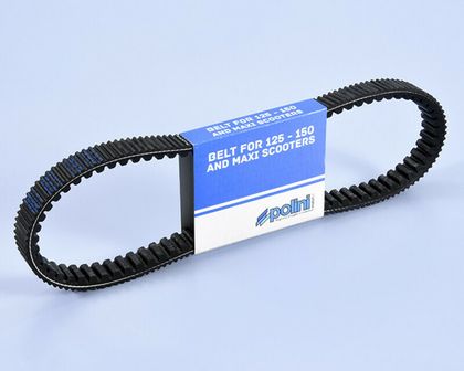Pas transmisji Polini 1156170