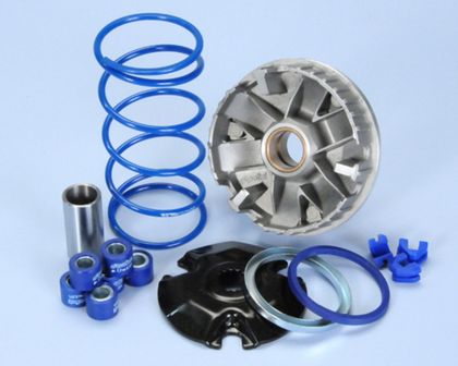Variator Polini 1011887