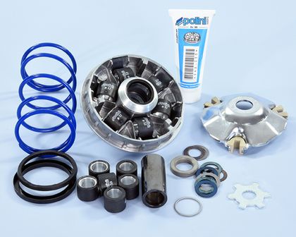 Variator Polini 1107046