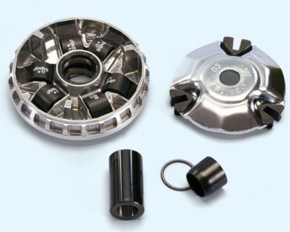 Variator Polini 1151559