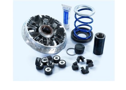 Variator Polini 1152822
