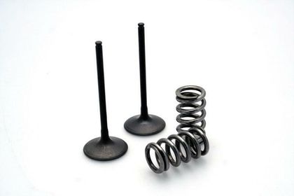 Prox Auslassventil Stahl Ventil-Umbausatz