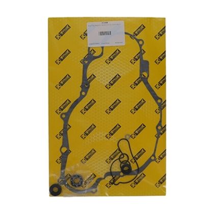 Kit réparation pompe à eau Prox 1152330