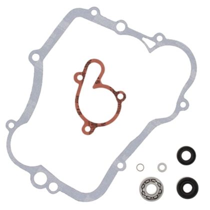Kit réparation pompe à eau Prox 1152335