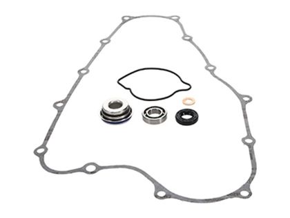 Kit réparation pompe à eau Prox 1152336