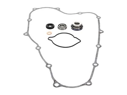Kit réparation pompe à eau Prox 1152336