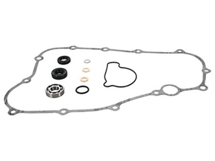 Kit réparation pompe à eau Prox 1152339