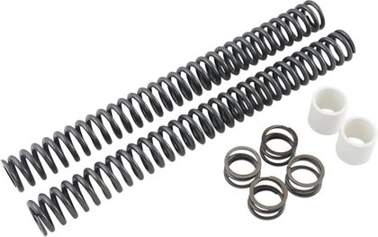 Kit de rabaissement Progressive Suspension 04160077