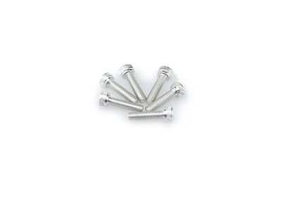 Puig In geanodiseerd aluminium zilver blister 6 allen schroeven M5x20mm Kofferboutset Universeel