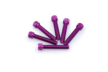 Puig In lila eloxiertem Aluminium Blister 6 Schrauben Allen M8x45mm Verkleidungsschraubensatz Universell