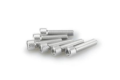 Puig In anodisiertem Aluminium Silber Blister 6 Schrauben Allen M6x25mm Verkleidungsschraubensatz Universell