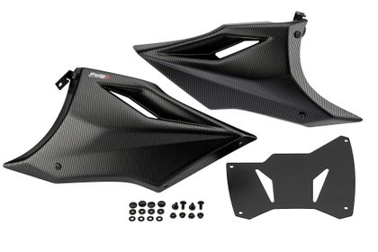 Puig Kohleoptik Motorschutz