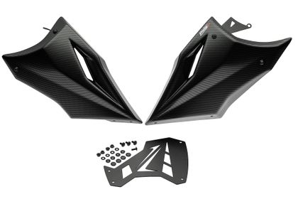 Puig Kohlenstoffoptik Motorschutz
