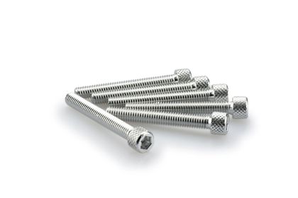 Puig In Geanodiseerd Aluminium Zilver Blister 6 inbusschroeven M6x45mm Kofferboutset Universeel