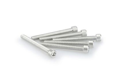 Puig In geanodiseerd aluminium zilver blister 6 allen schroeven M6x55mm Kofferboutset Universeel