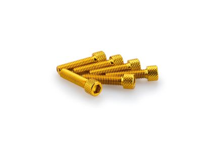 Puig In Geanodiseerd Aluminium Geel Blister 6 allen schroeven M6x25mm Kofferboutset Universeel