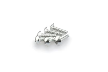 Puig In Geanodiseerd Aluminium Zilver Blister 6 verzonken schroeven M5x20mm Kofferboutset Universeel