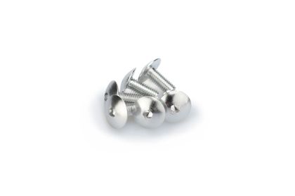 Puig In Geanodiseerd Aluminium Zilver Blister 6 verzonken schroeven M6x15mm Kofferboutset Universeel