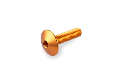 Puig In geanodiseerd aluminium Gouden Bubbles 6 schroeven M6x20 kop diameter 13,9mm Kofferboutset Universeel