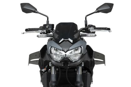 Puig D12 Carbon appearance Lateral fins