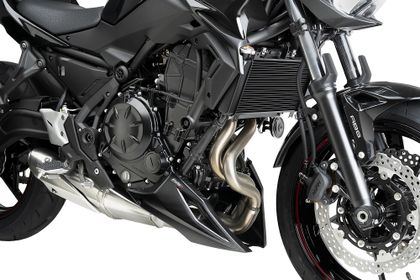 Puig Kohlenstoffoptik Motorschutz