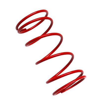 Replay SCOOTER VARIATOR Compression spring