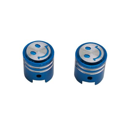 Valve Replay SCOOT - VS PISTON BLEU PAIRE Universel