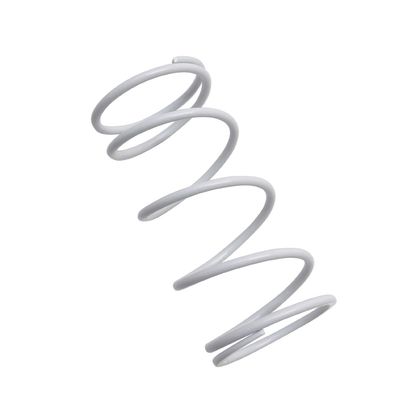 Replay SCOOT VARIATOR Compression spring
