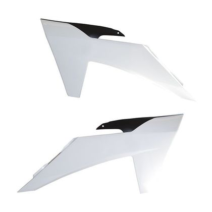 Ouie de radiateur Racetech 