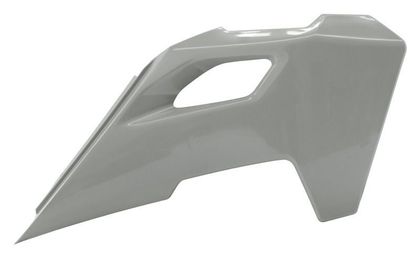 Ouie de radiateur Racetech 