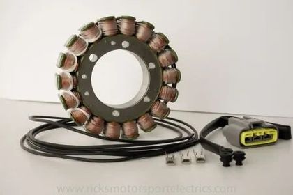 Stator d'allumage Rick's Motosport Electric Remplacement OE