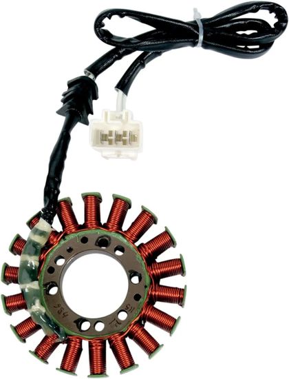 Stator d'allumage Rick's Motosport Electric 21120037