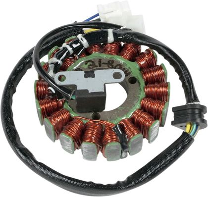 Stator d'allumage Rick's Motosport Electric Hot Shot