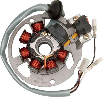 Stator d'allumage Rick's Motosport Electric Remplacement OE