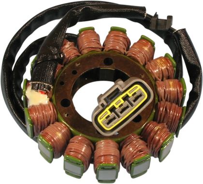 Stator d'allumage Rick's Motosport Electric Remplacement OE