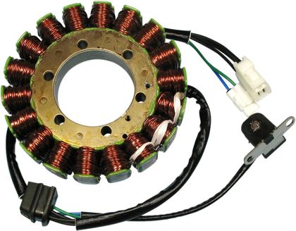 Stator d'allumage Rick's Motosport Electric Remplacement OE