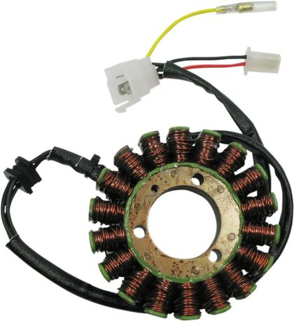 Stator d'allumage Rick's Motosport Electric 21120996