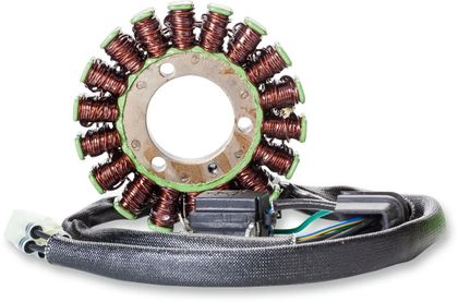 Stator d'allumage Rick's Motosport Electric Remplacement OE