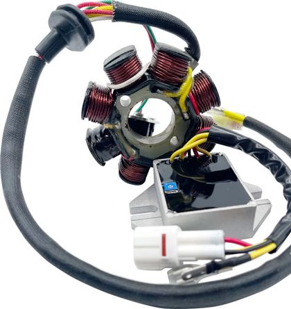 Stator d'allumage Rick's Motosport Electric Kit charge Hot Shot