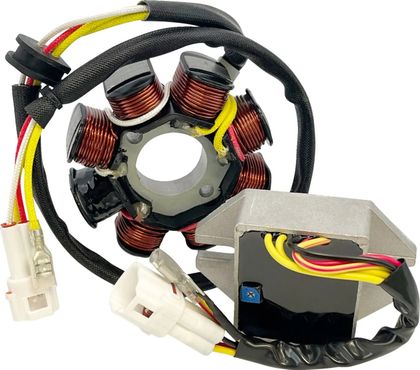Stator d'allumage Rick's Motosport Electric Kit charge Hot Shot