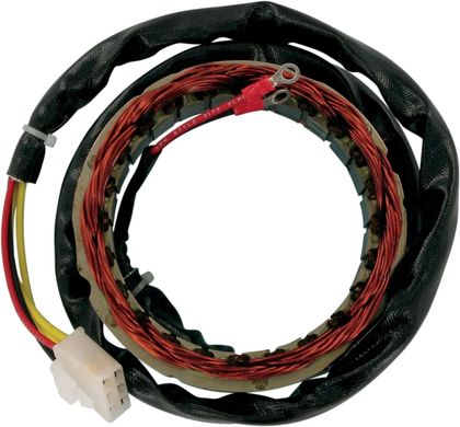 Stator d'allumage Rick's Motosport Electric CHS1NWL