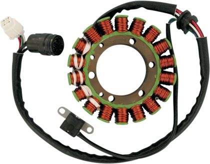 Stator d'allumage Rick's Motosport Electric 21120276 Universel