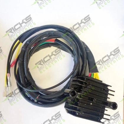 Rick's Motosport Electric Gleichrichter Regler Spannungsregler