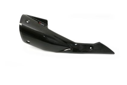 Akrapovic Visor Spare part Exhaust protection