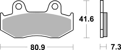 SBS 558RSI Brake pads