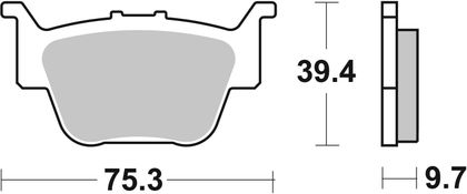 SBS 813RSI Brake pads