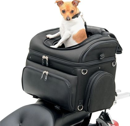 SADDLEMEN Transporteur animaux Zadeltas Universeel