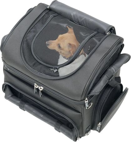 SADDLEMEN Transporteur animaux Zadeltas Universeel