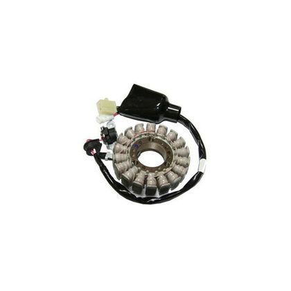 Stator d'allumage SGR 163077