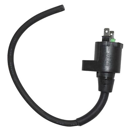 SGR scooter Ignition coil